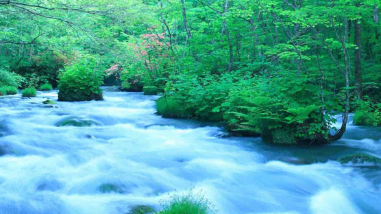 会社案内のリンク画像